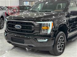 فۆرد F-150